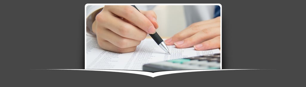 annual china accounts audit checklist download