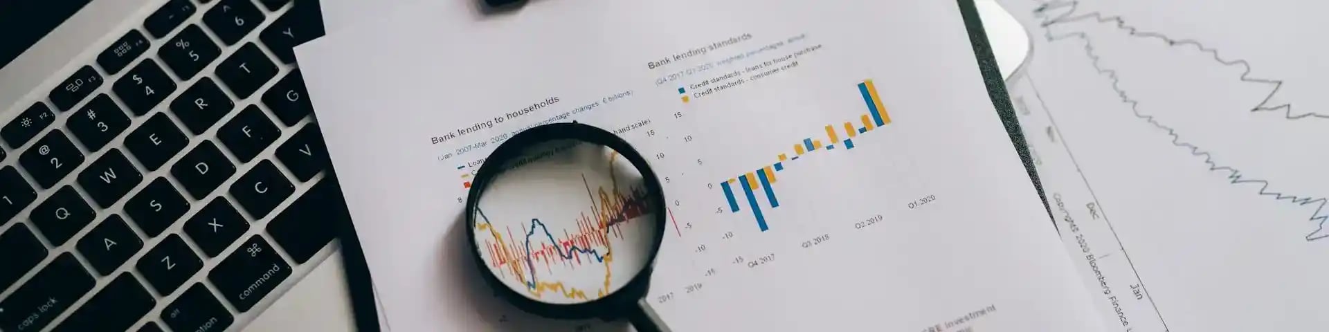 Company Credit Report homepage