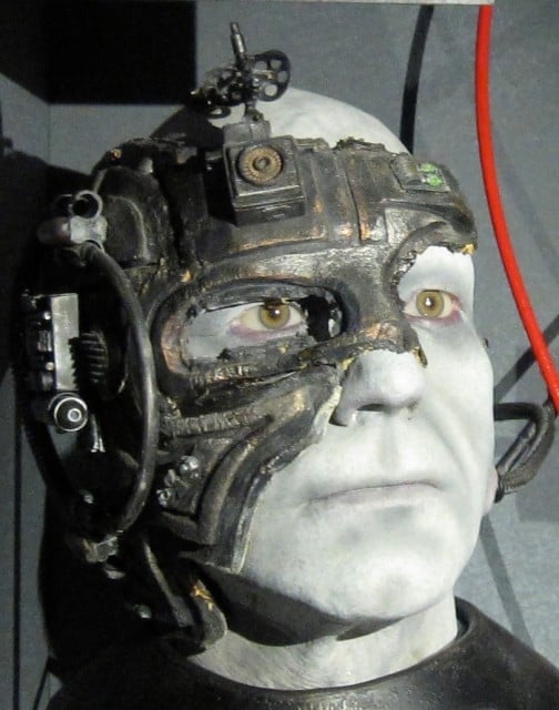 Jean-Luc_Picard_as_Borg-504x640.jpg