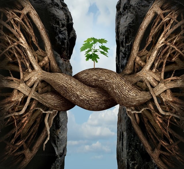 The pros of joint ventures in China The pros of joint ventures in China