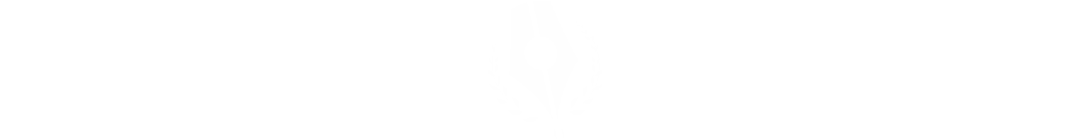 hongda-logo-hero-long